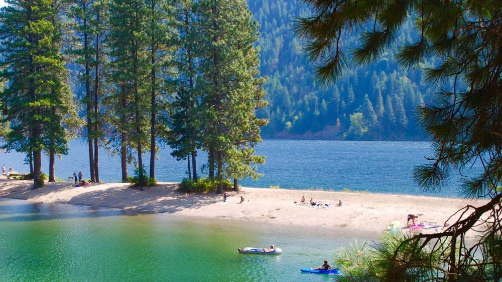 Two bodies of water separated by a sand bar with tall trees on it. People are hanging out on the sand bar and in tubes and canoes in the water.