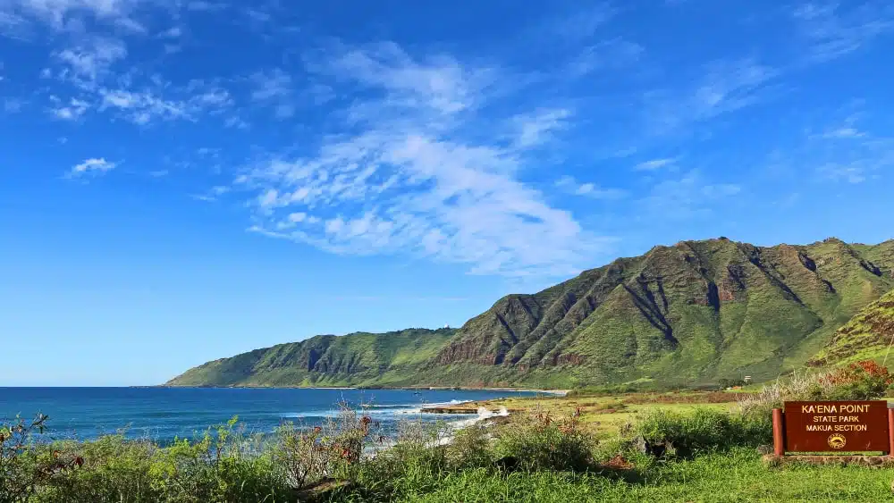 View of shore and cliffside at Kaena Point State Park, Makua Section, on Oahu