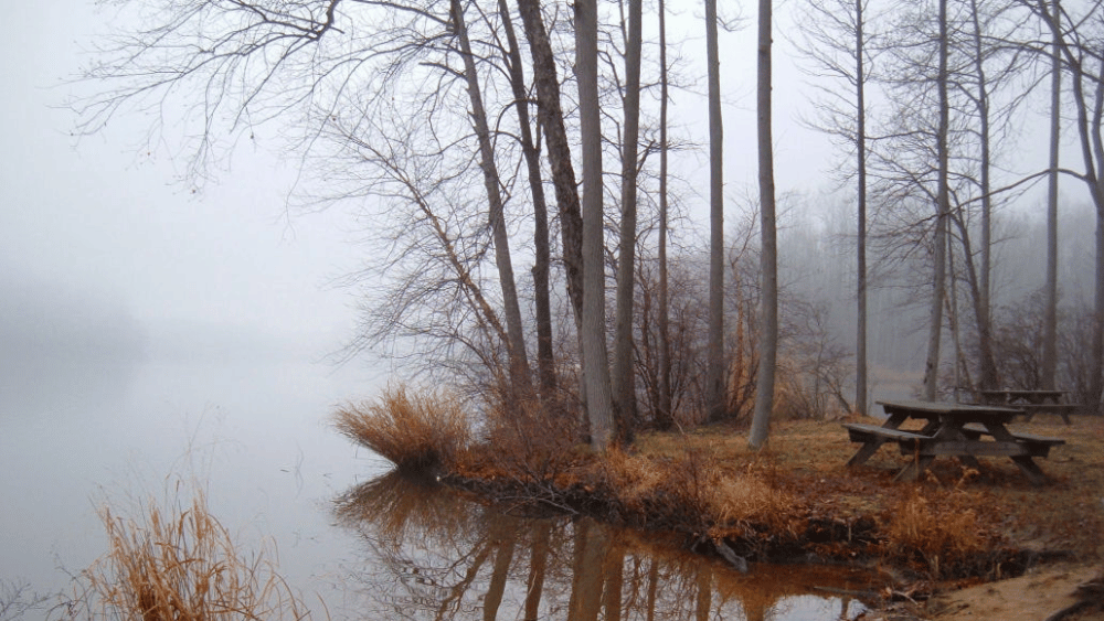 View of fog, tables, trees, and a pond at Lums Pond State Park, Delaware.