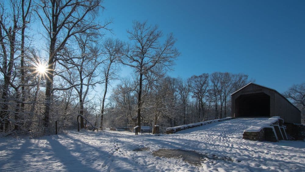 A snowy field surrounded by dead trees with a large, covered wooden bridge on the right.