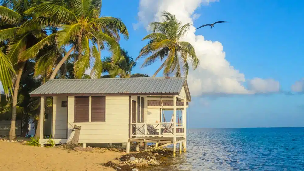 hawaiian tiny home on the beach with palm trees