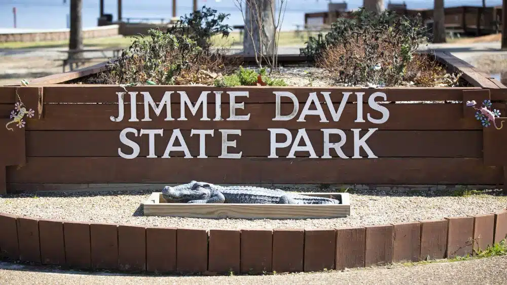 Wooden sign reading "Jimmie Davis State Park" with a statue of an alligator in front.