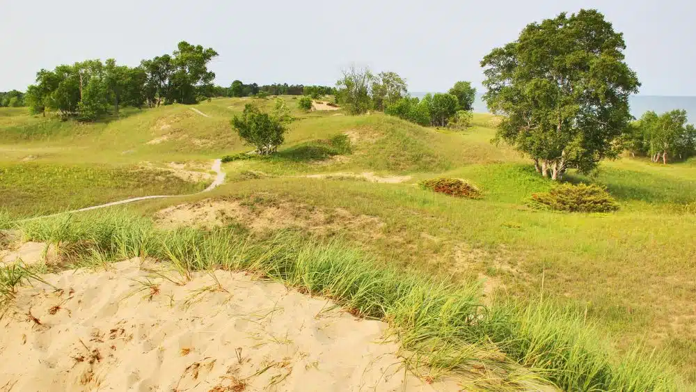 Rolling grassy hills with sand underneath.