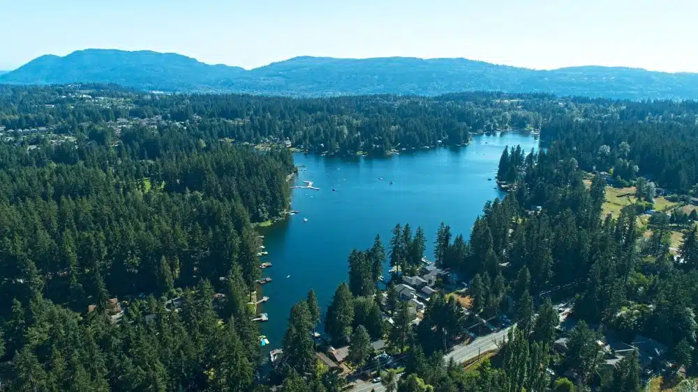 Aerial view of a lake completely surrounded by tall, green trees.