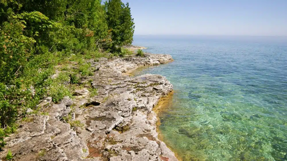 Rocky shore leading into clear blue waters. Thick trees are along the shore.