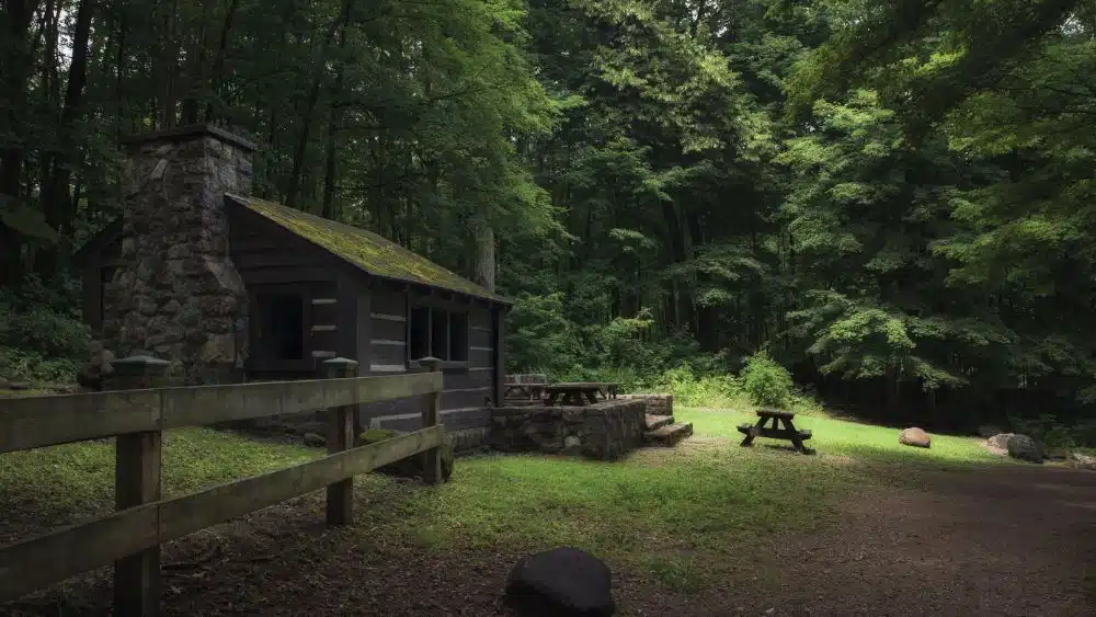 A cabin in a clearing in the woods with a stone chimney and a picnic table out front.
