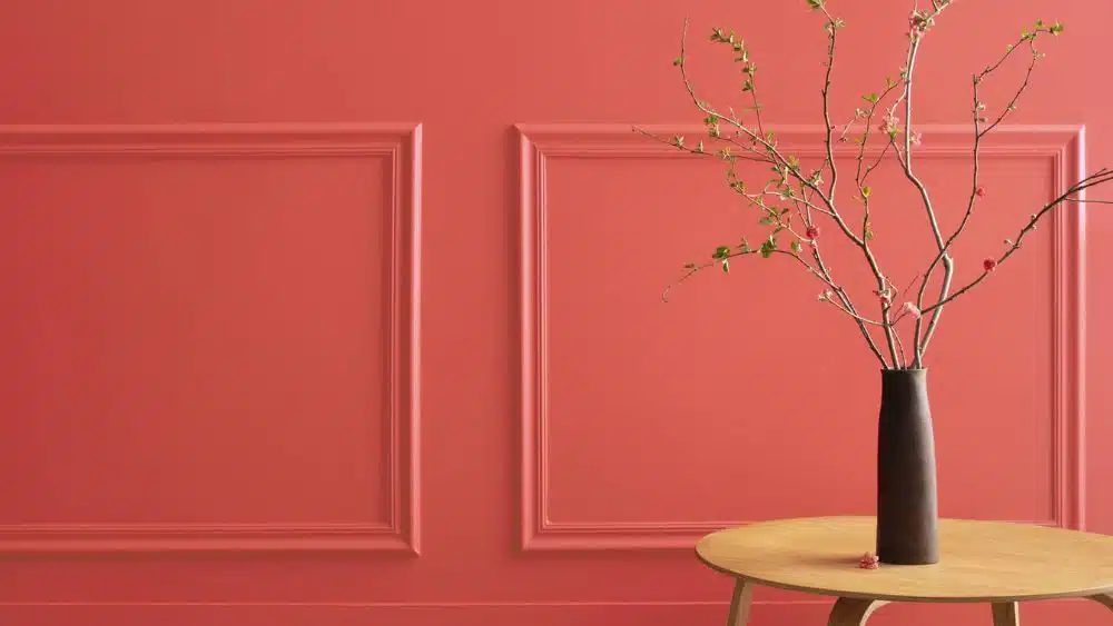 Simple plant against a warm, coral-toned wall.