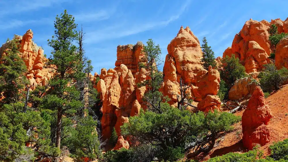 Free-standing red rock formations surrounded by trees.