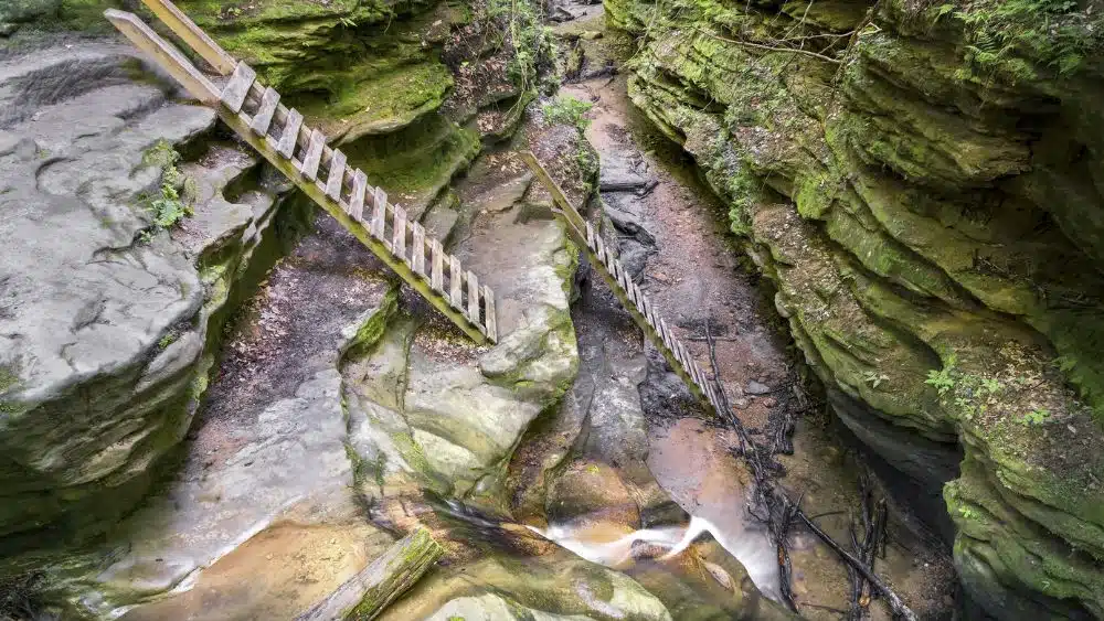 Small trail ladders leading down a one side of a rocky cliff.