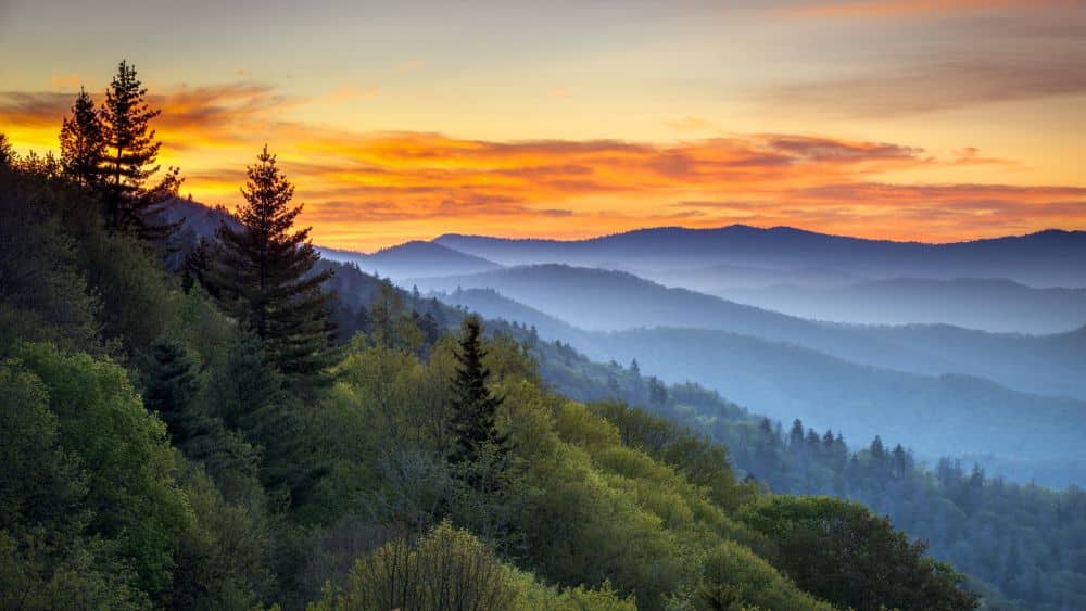 Mountains covered in trees beneath an orange sunrise. The mountains farther back look blue and covered in mist.