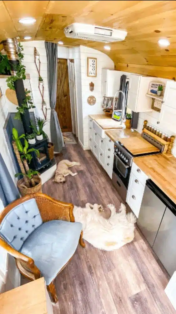 Tiny house kitchen and living space with two large dogs laying on the ground.