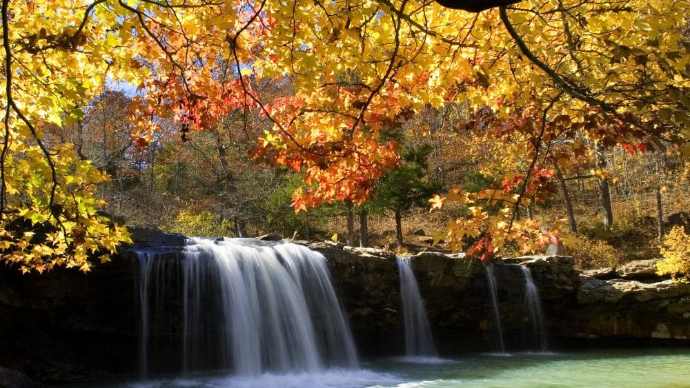 View of a shorter waterfall through orange and yellow leaves.