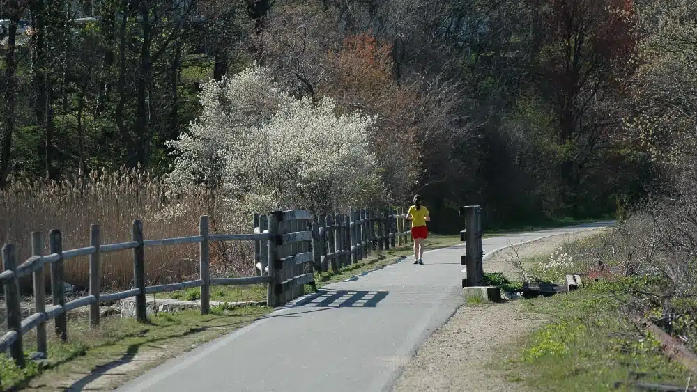 A woman in a yellow t-shirt and red shorts jogs on the East Bay Bike Path in East Providence, Rhode Island, near Haines Memorial State Park