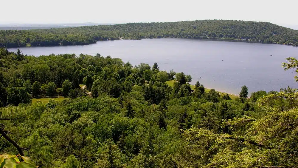 Large lake  surrounded by a forest.