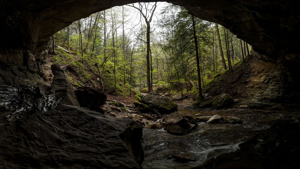 View from inside a cavern looking out into a forest.