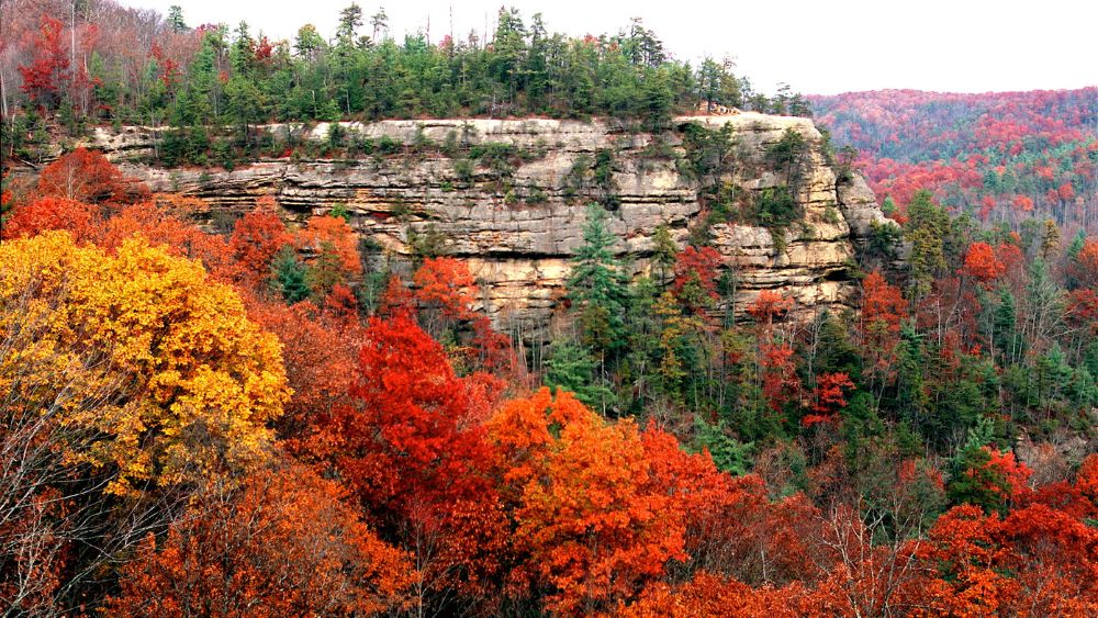 Mountain cliff surrounded by fall trees.