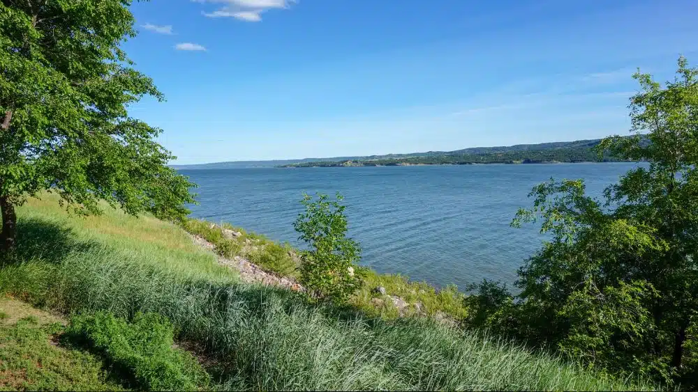 View from a grassy shore with trees leading to a large body of water.