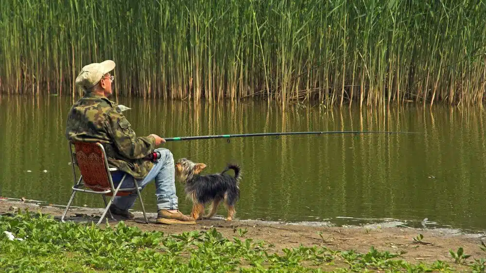 Someone sitting on the bank of a river with a fishing rod. A yorkie looks up at them.