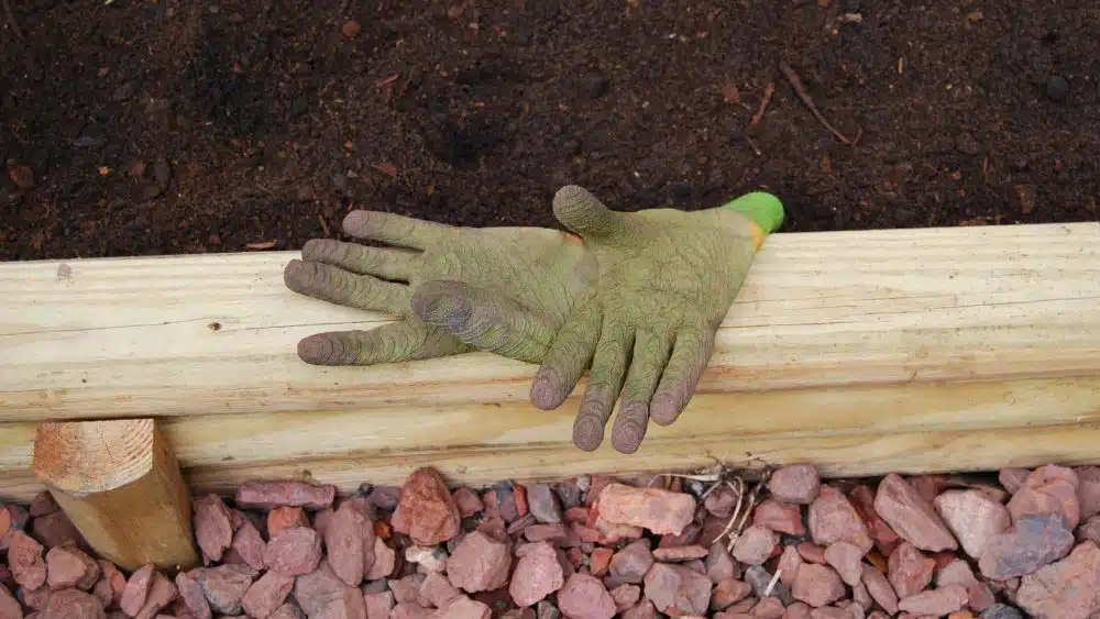 Well-worn garden gloves resting on a wooden beam.