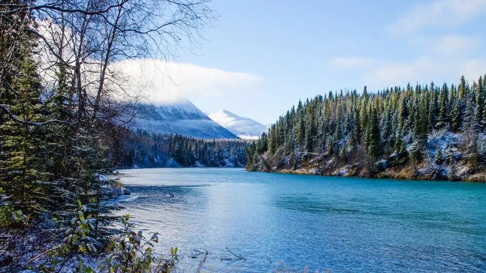 Clear blue river between two forested shores with snow-capped mountains in the background.
