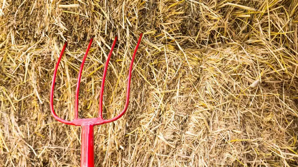 Red pitchfork head leaning against a hay bale.