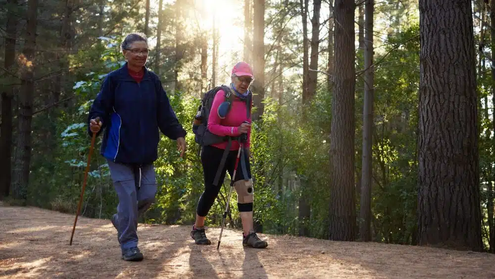 Two elderly people hiking in a forest.