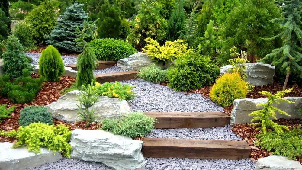 Garden with a wooden stair path and lots of greenery around the steps.