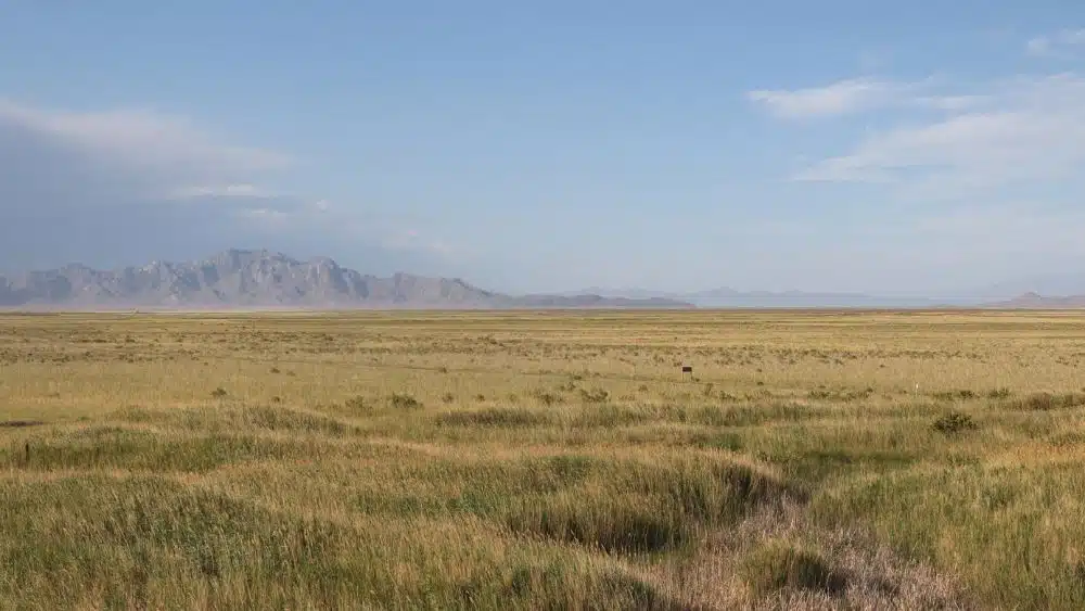 grassland in Utah