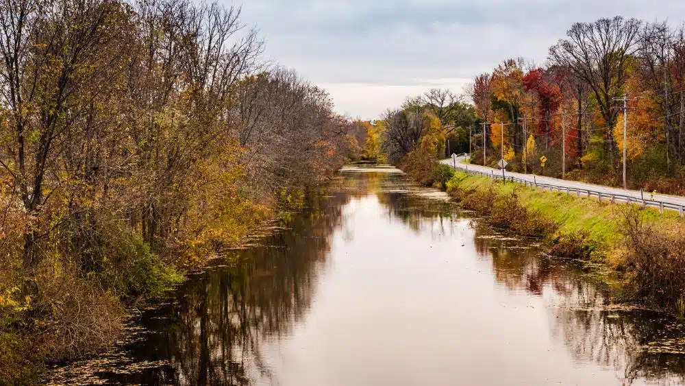 Canal of water lined with trees in the fall.