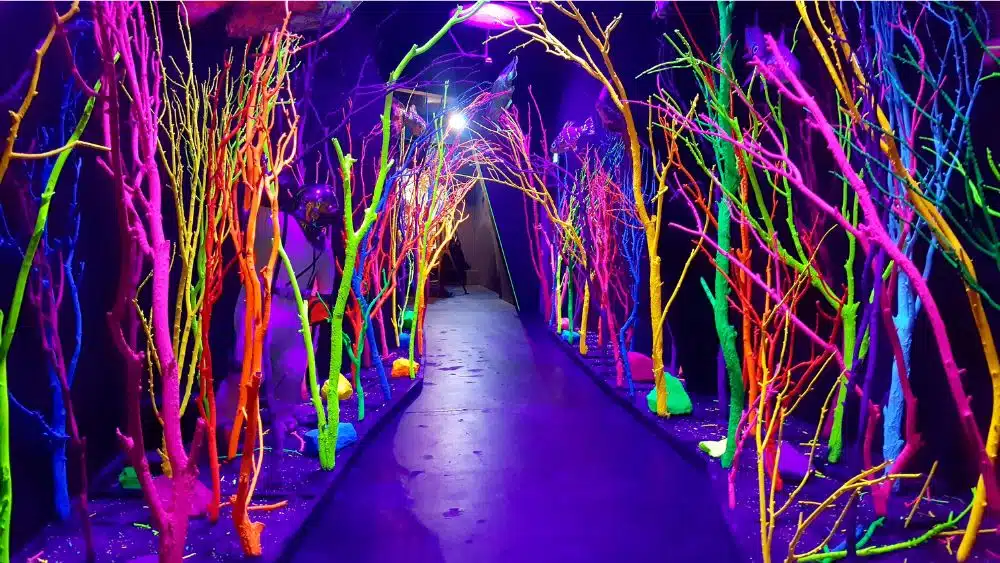 the Meow Wolf in Santa Fe