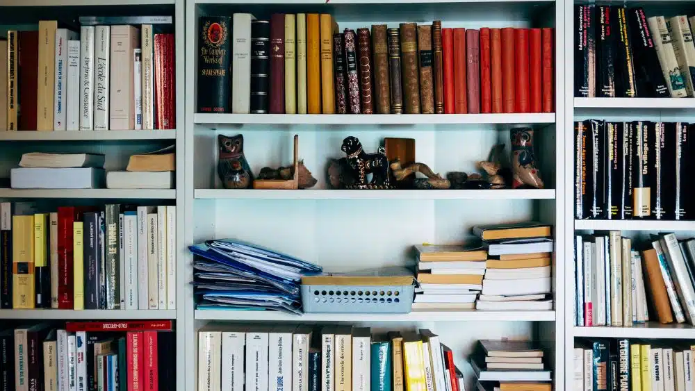 a beautiful bookshelf