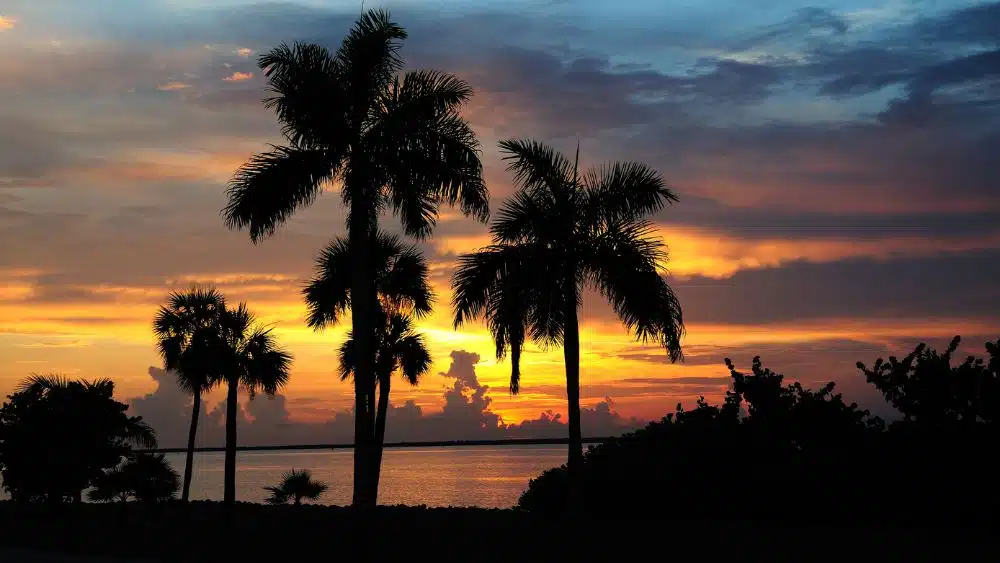 tropical sunset in Punta Gorda, FL