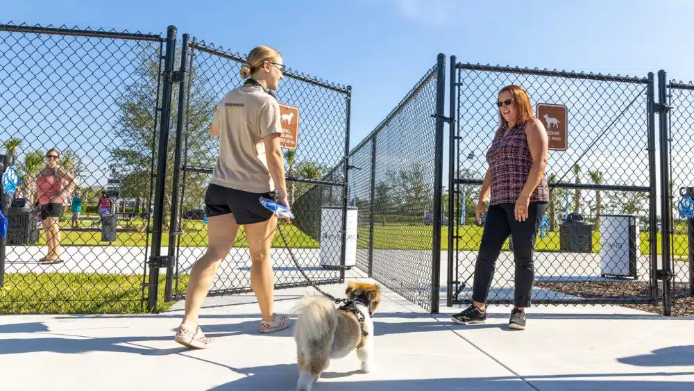 woman bringing her dog to a community dog park